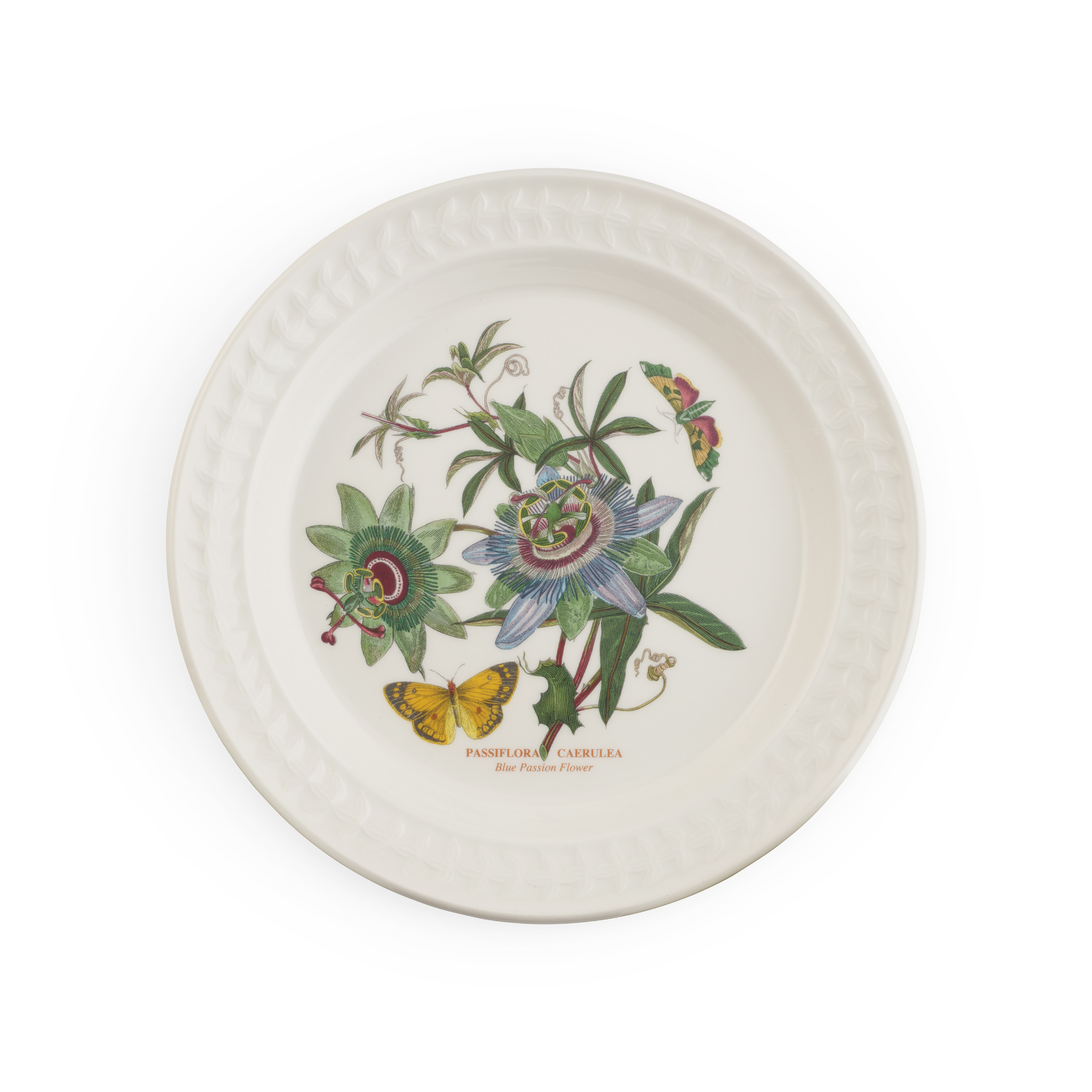 Botanic Garden Papilio Amber Dinner plate image number null